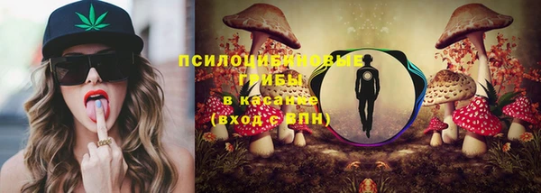 винт Пересвет